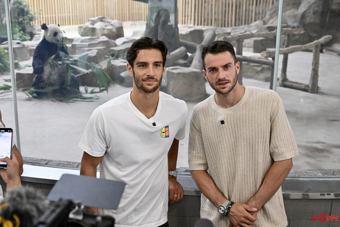 抓住机会的 抓住机会的