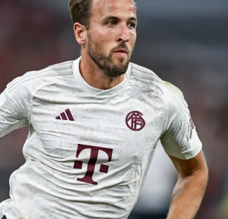 铃木一朗在 铃木一朗在