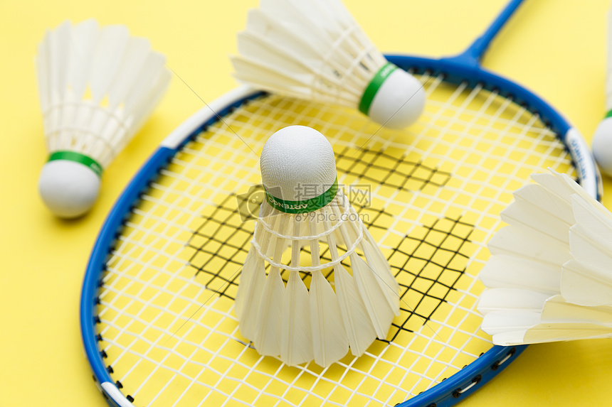 化互鉴与规 化互鉴与规